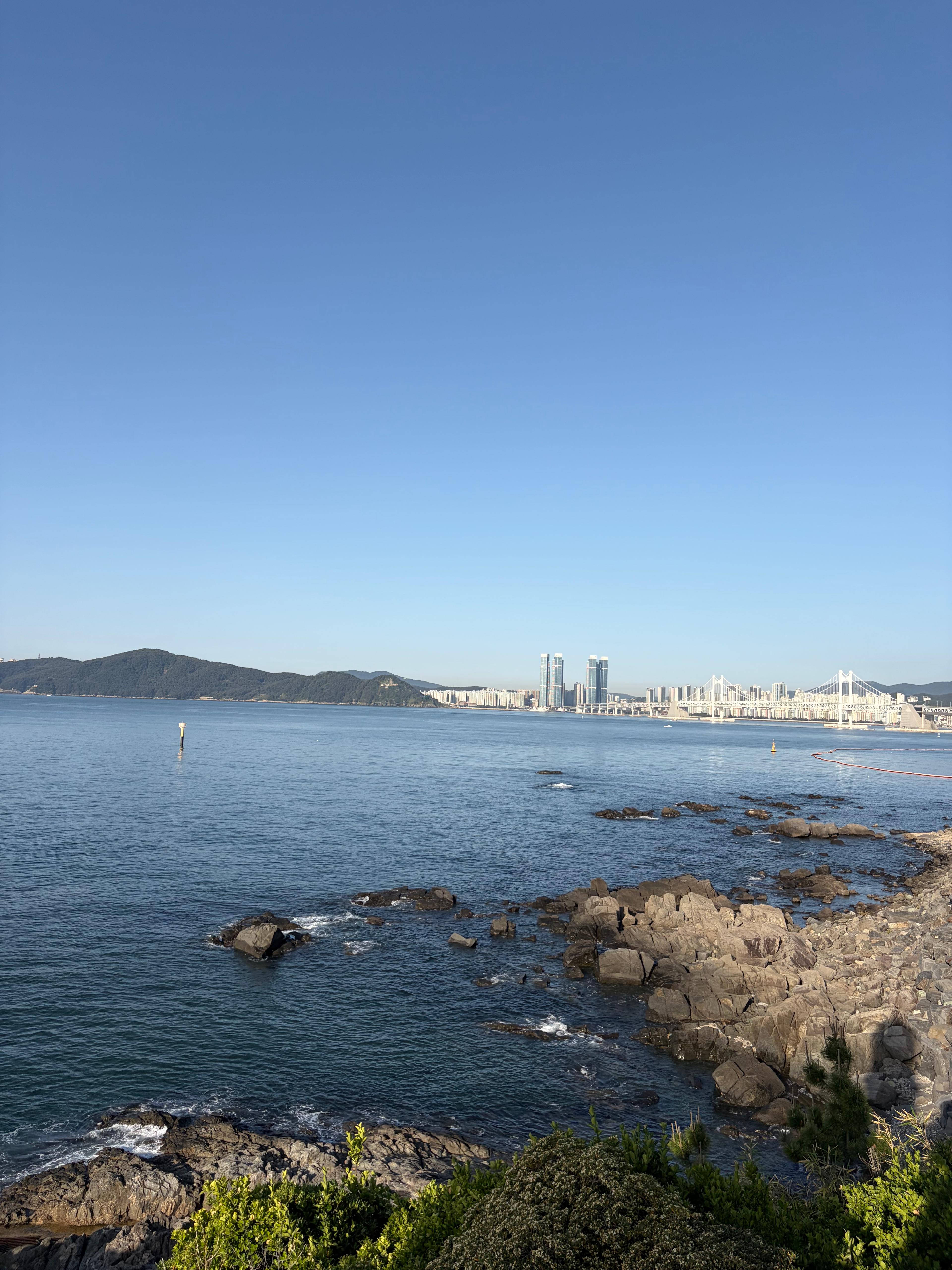 https://cdn.ddoga.co.kr/community/post/20260521/a5b3d973-09e2-4474-98b0-021ae9db2a0f