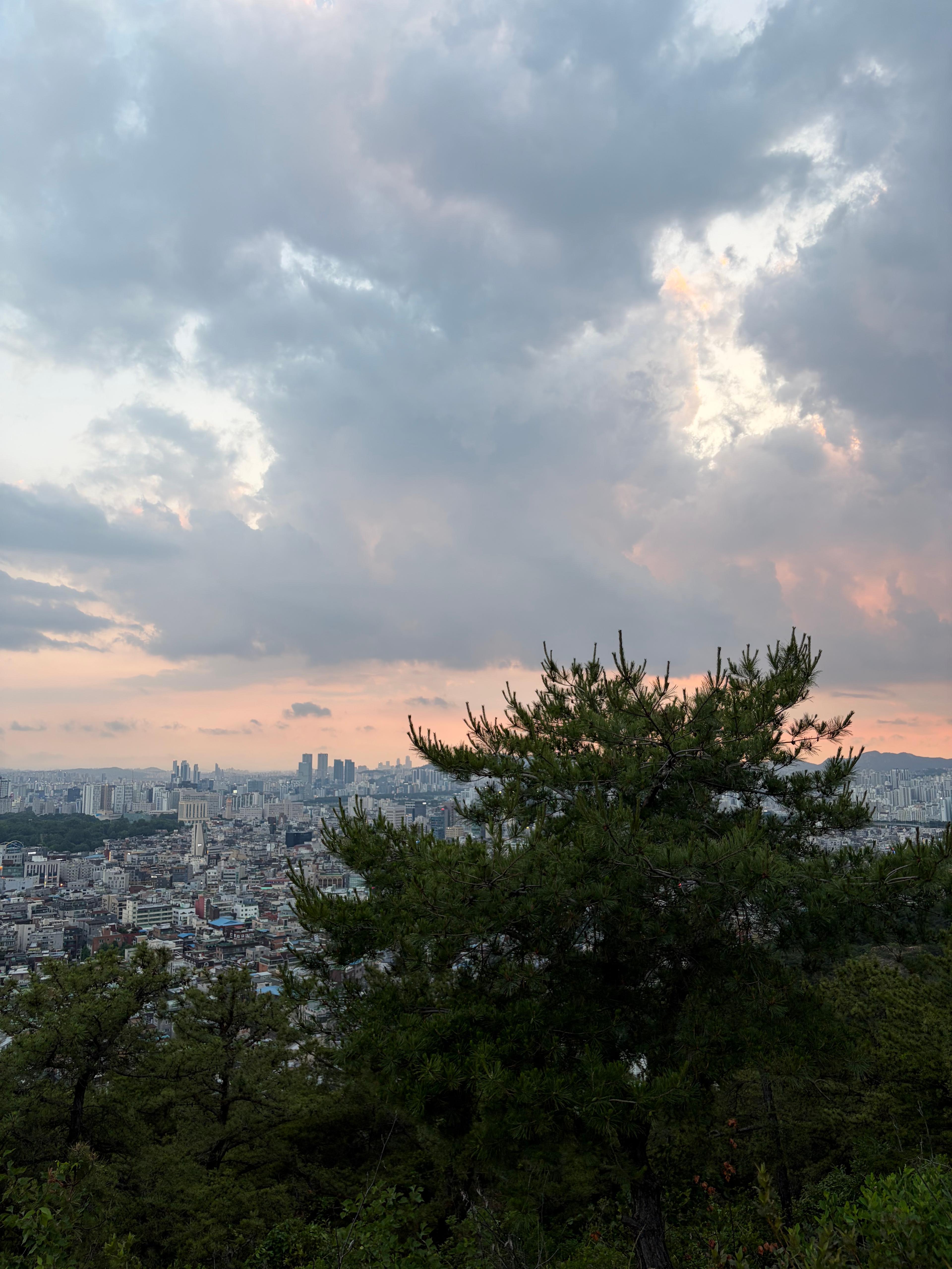 https://cdn.ddoga.co.kr/community/post/20260521/a5db48f6-9a0b-44b6-a3ea-e76a821af148