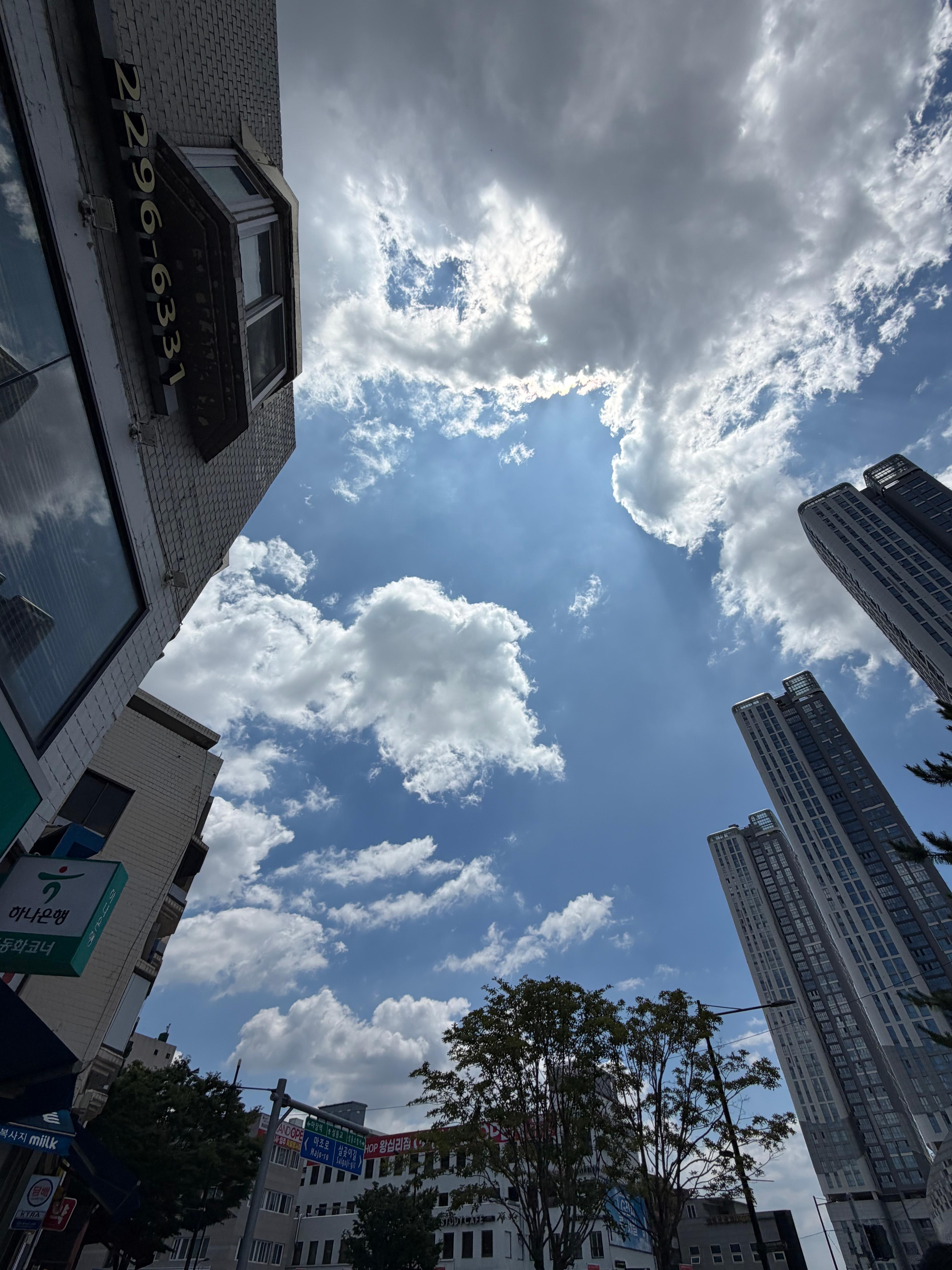 https://cdn.ddoga.co.kr/community/post/20260618/4d273e1f-9def-40c7-8f2a-b6118af52d6d