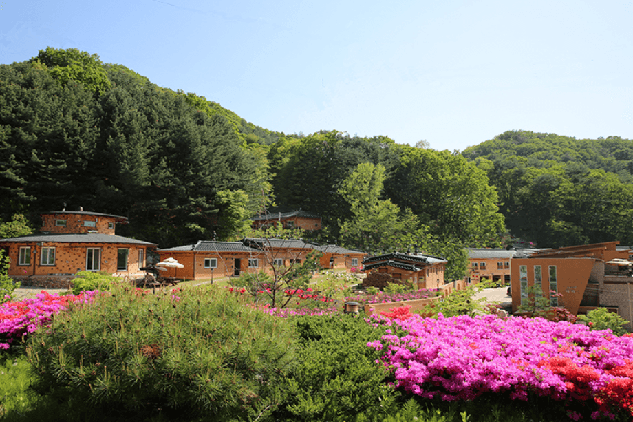 숲속고요마을 자연치유센터