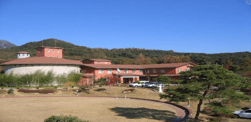 프란치스꼬의집