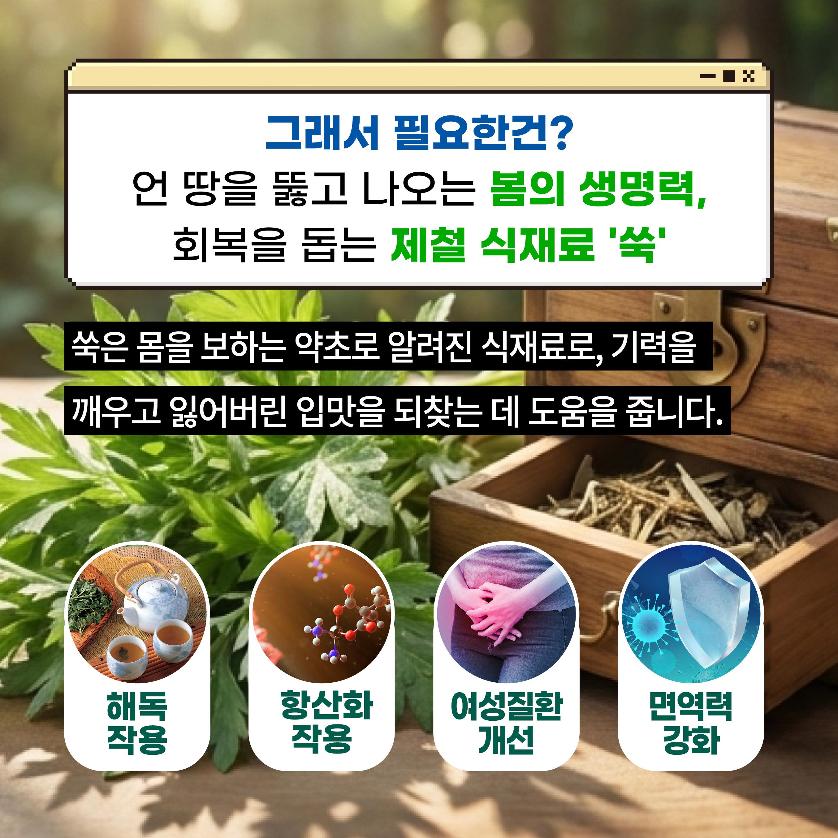 260401_디지털마케팅_쑥제철음식9