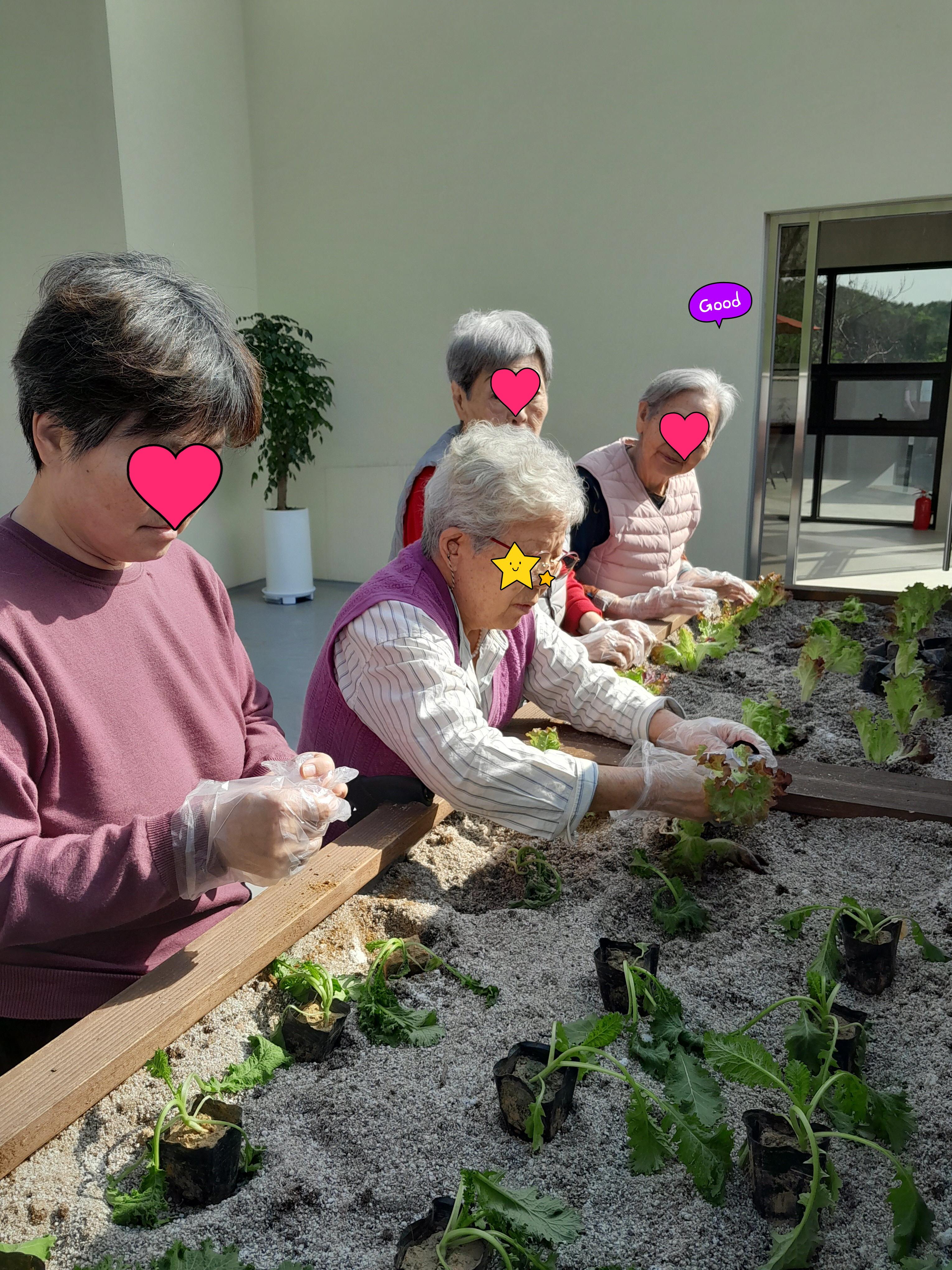 재활요양원 텃밭